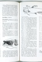 FISKELEXIKON fr&aring;n A till &Ouml;