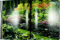 FLOR & FJ&AElig;RE &ndash; Verdens nordligeste tropehage