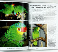 LIVING WITH PARROTS OF DIFFERENT SIZES