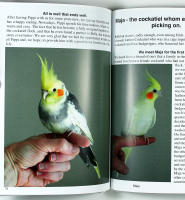 LIVING WITH PARROTS OF DIFFERENT SIZES