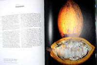 DET GR&Ouml;NA HJ&Auml;RTAT - Bilder fr&aring;n Lunds universitets botaniska tr&auml;dg&aring;rd