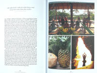 YOGA GIRL &ndash; Att finna lycka, skapa balans och leva med ett &ouml;ppet hj&auml;rta