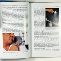 African Grey PARROTS