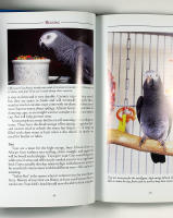 African Grey PARROTS