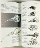 SP&Aring;R OCH K&Auml;NNETECKEN hos Europas djur