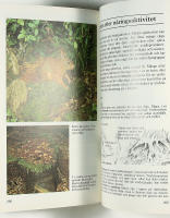 SP&Aring;R OCH K&Auml;NNETECKEN hos Europas djur