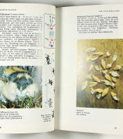 SP&Aring;R OCH K&Auml;NNETECKEN hos Europas djur