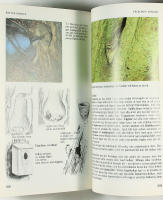 SP&Aring;R OCH K&Auml;NNETECKEN hos Europas djur