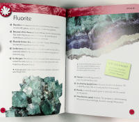 ROCKS & FOSSILS Mini Encyclodedia 