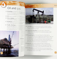 ROCKS & FOSSILS Mini Encyclodedia 