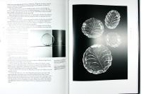 ORREFORS &ndash; Glasbrukets historia 1898&ndash;1998