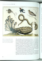 CARL von LINN&Eacute; &ndash; En biografi