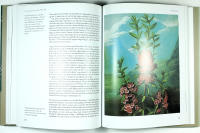 CARL von LINN&Eacute; &ndash; En biografi