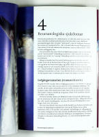 BODY FOODS &ndash; &Auml;t dig frisk och glad &ndash; en handbok f&ouml;r kvinnor