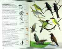 The BIRDS of AUSTRALIA &ndash; A book of identification &ndash; 758 Birds in Colour