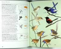 The BIRDS of AUSTRALIA &ndash; A book of identification &ndash; 758 Birds in Colour