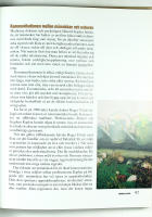 M&Auml;NNISKANS NATUR &ndash; Det gr&ouml;nas betydelse f&ouml;r v&aring;rt v&auml;lbefinnande