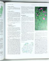 SM&Aring;LANDS FLORA &ndash; Band 2