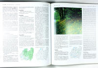 SM&Aring;LANDS FLORA &ndash; Band 2