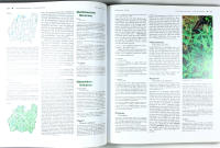 SM&Aring;LANDS FLORA &ndash; Band 2