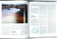 SM&Aring;LANDS FLORA &ndash; Band 2