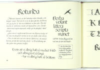 KALLIGRAFI F&Ouml;R NYB&Ouml;RJARE