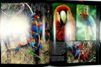 REGNSKOG &ndash; En fotografisk resa &ndash; Med CD