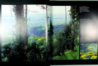 REGNSKOG &ndash; En fotografisk resa &ndash; Med CD