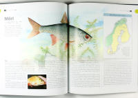 FISKE I NORDEN