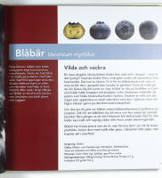 TUTTI FRUTTI &ndash; En bok om frukt och frestelser