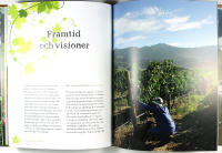 SYDAFRIKA &ndash; ETT MAGISKT VINLAND