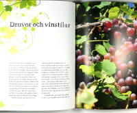 SYDAFRIKA &ndash; ETT MAGISKT VINLAND