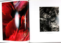 BEANE &ndash; FLOWER