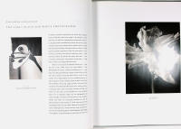 BEANE &ndash; FLOWER