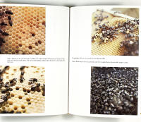 ETT &Aring;R I BIG&Aring;RDEN