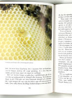 ETT &Aring;R I BIG&Aring;RDEN