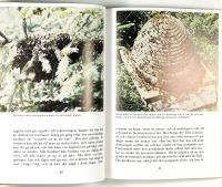 ETT &Aring;R I BIG&Aring;RDEN