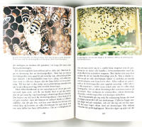 ETT &Aring;R I BIG&Aring;RDEN