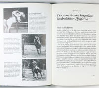 VINNANDE HOPPNING &ndash; Amerikansk hoppstil f&ouml;r framg&aring;ngsrik t&auml;vling