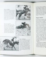 VINNANDE HOPPNING &ndash; Amerikansk hoppstil f&ouml;r framg&aring;ngsrik t&auml;vling