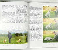 LYCKAS MED HUNDEN &ndash; V&auml;gen till ett framg&aring;ngsrikt f&ouml;rsta &aring;r