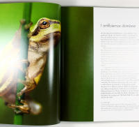 ETT VILDARE LIV &ndash; En bok om det vildas &aring;terkomst