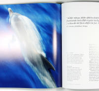 ETT VILDARE LIV &ndash; En bok om det vildas &aring;terkomst