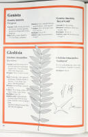 L&Ouml;VTR&Auml;D OCH BUSKAR &ndash; En v&auml;xtatlas &ouml;ver alla de l&ouml;vtr&auml;d och buskar som finns att f&aring; i Sverige med deras egenskaper och krav p&aring; v&auml;xtbetingelser