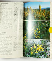 MEDELHAVETS V&Auml;XTER &ndash; Best&auml;mningsbok f&ouml;r ca 400 arter