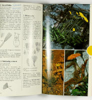 MEDELHAVETS V&Auml;XTER &ndash; Best&auml;mningsbok f&ouml;r ca 400 arter