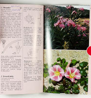 MEDELHAVETS V&Auml;XTER &ndash; Best&auml;mningsbok f&ouml;r ca 400 arter