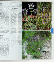 MEDELHAVETS V&Auml;XTER &ndash; Best&auml;mningsbok f&ouml;r ca 400 arter