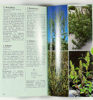 MEDELHAVETS V&Auml;XTER &ndash; Best&auml;mningsbok f&ouml;r ca 400 arter