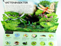 3D-utforskaren &ndash; INSEKTER &ndash; En resa till de sm&aring; djurens v&auml;rld